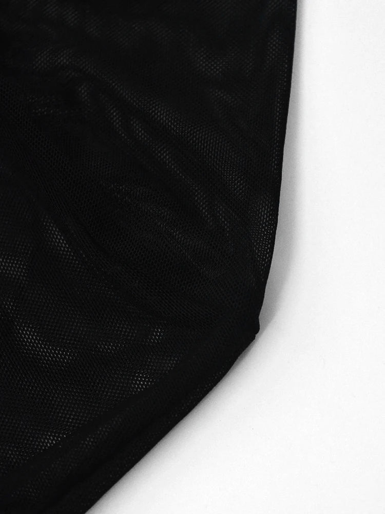 Paige - Sexy Mesh Maxi Dress Long Sleeves Slim Turtleneck Dress Sheer - Lotus Pearl Clothing,  -  []